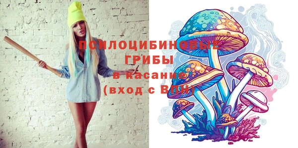 гидра Струнино